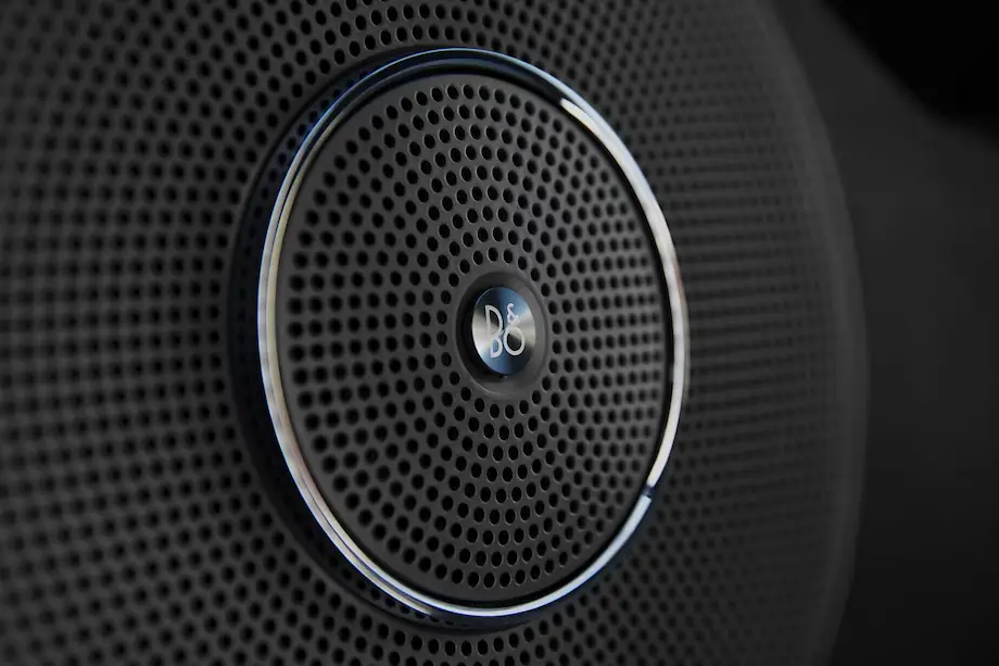 Ford Expedition sound system speaker