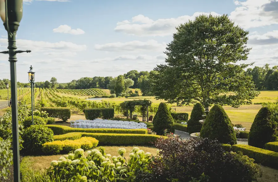 Magnanini Vineyard lawn