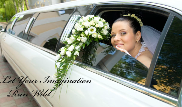 bridal shot in limo
