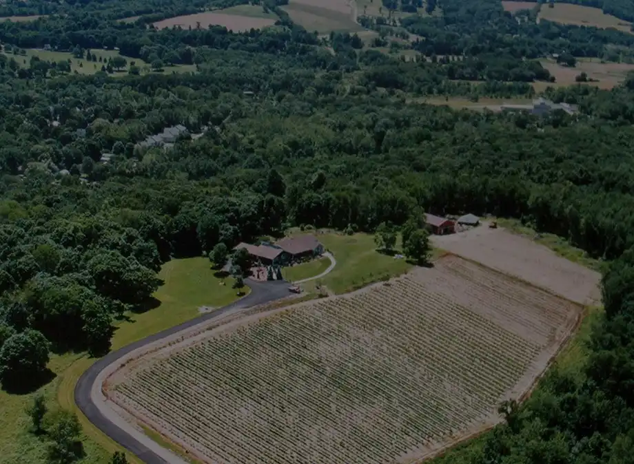 demarest hill vineyard