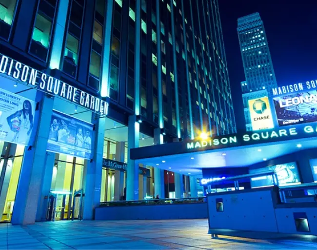 msg